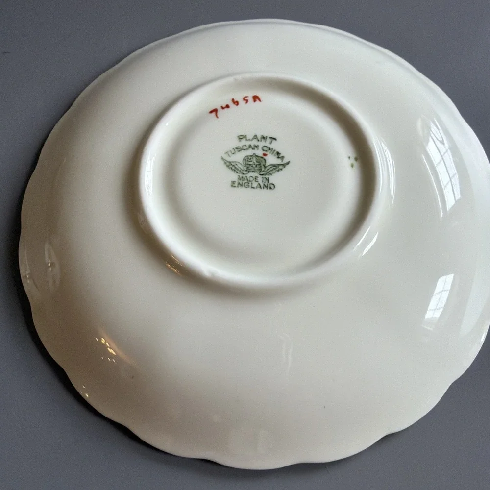 Vintage 1940s Plant Tuscan English Bone China Tea Cup & Saucer Floral Green Gold